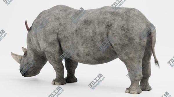 images/goods_img/20210312/3D White Rhinoceros/5.jpg